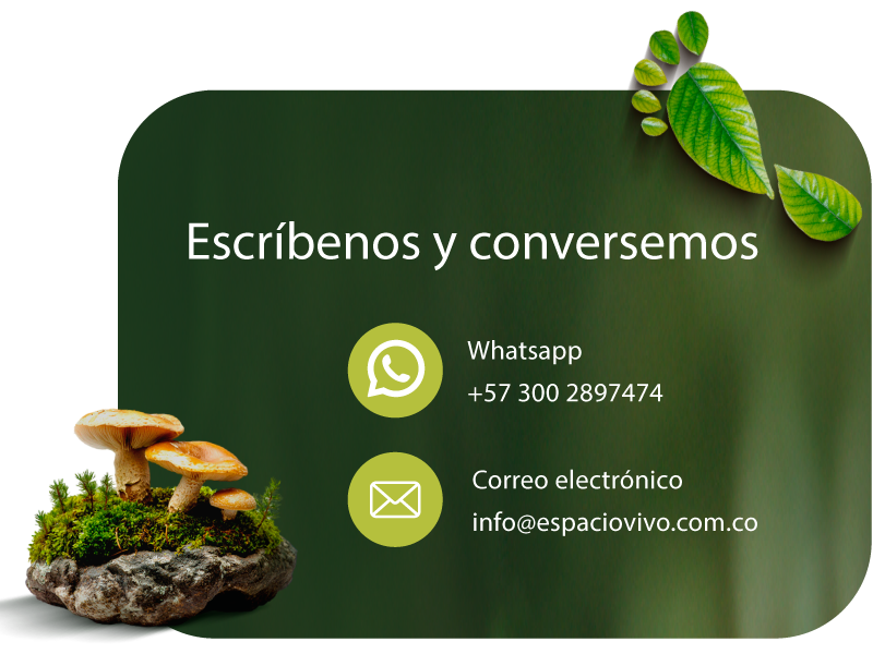 imagen movil espaciovivo