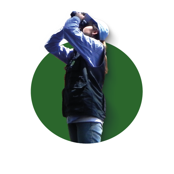 Nuestro modelo n1 espaciovivo