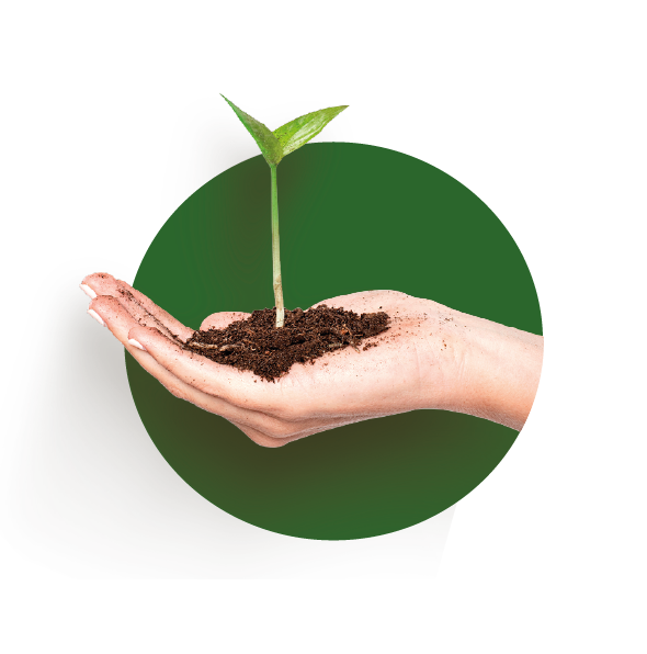 Nuestro modelo n2 espaciovivo