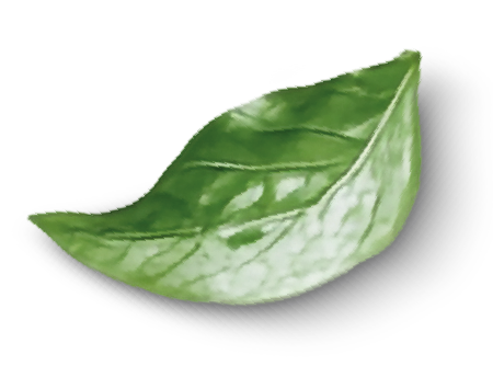 hoja nuestro proyecto espaciovivo