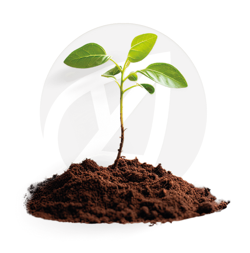 Seccion equipo interdiciplinado espaciovivo