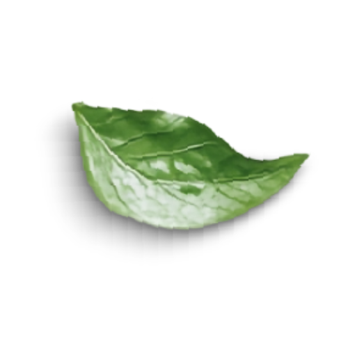 hoja banner que hacemos