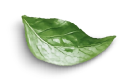 hoja banner que hacemos